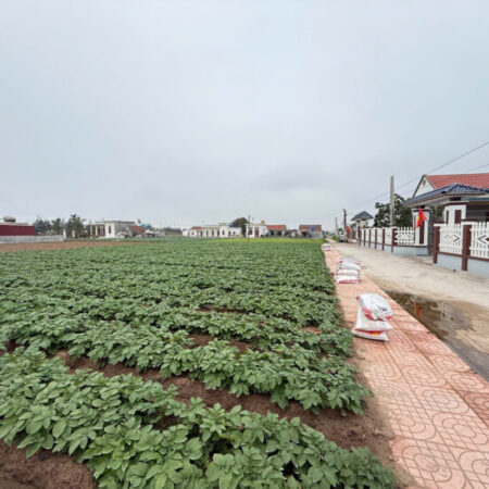 Đất nền ven biển Quất Lâm Nam Định