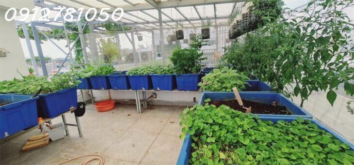 BÁN NHÀ 3 TẦNG, 4 PN, 6 WC, PHẠM VĂN BẠCH, TÂN BÌNH – 8.4 TỶ, SỔ HỒNG