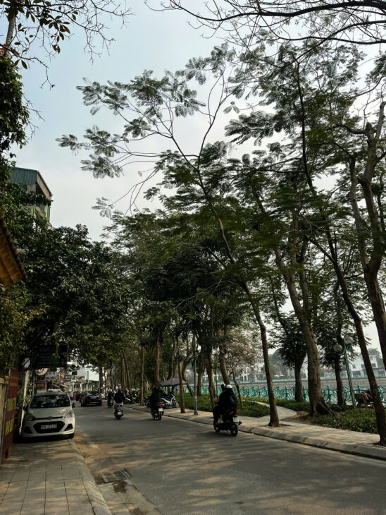 Nhật Chiêu Lạc Long Quân – xây Apartment – 116m MT 5.5m vuông đẹp chỉ 20 tỷ