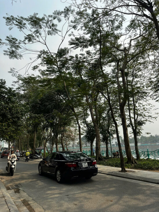 Nhật Chiêu Lạc Long Quân – xây Apartment – 116m MT 5.5m vuông đẹp chỉ 20 tỷ