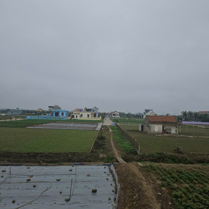 Bán đất nền ven biển, vị trí đắc địa, tiềm năng sinh lời cao, phù hợp đầu tư lâu dài