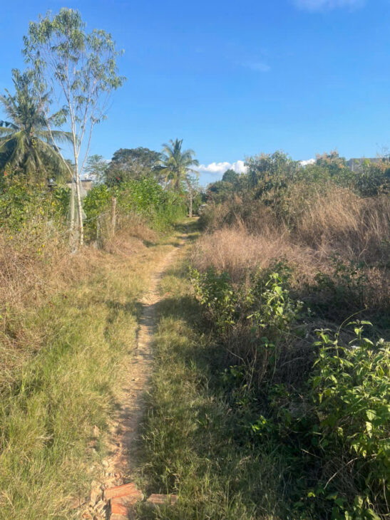 BÁN LÔ ĐẤT TRỒNG CÂY LÂU NĂM TẠI ĐỊNH QUÁN – ĐỒNG NAI