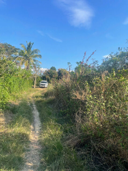 BÁN LÔ ĐẤT TRỒNG CÂY LÂU NĂM TẠI ĐỊNH QUÁN – ĐỒNG NAI