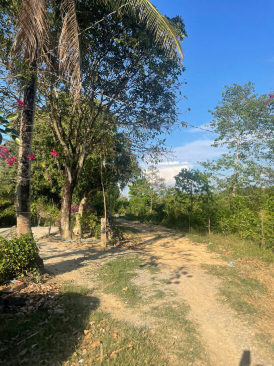 BÁN LÔ ĐẤT TRỒNG CÂY LÂU NĂM TẠI ĐỊNH QUÁN – ĐỒNG NAI