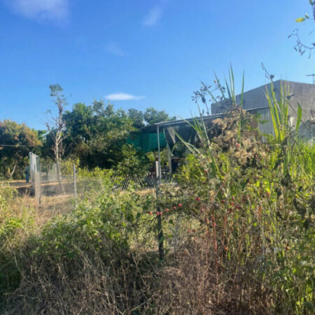 BÁN LÔ ĐẤT TRỒNG CÂY LÂU NĂM TẠI ĐỊNH QUÁN – ĐỒNG NAI