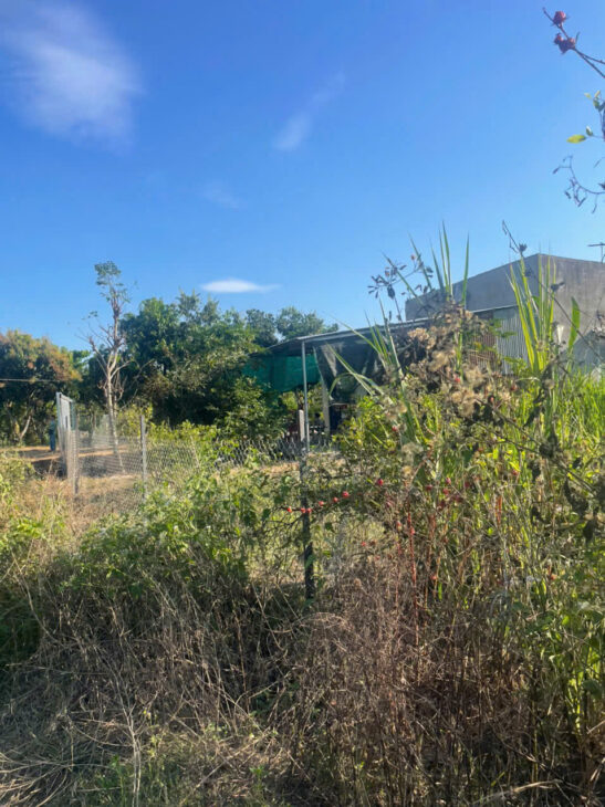 BÁN LÔ ĐẤT TRỒNG CÂY LÂU NĂM TẠI ĐỊNH QUÁN – ĐỒNG NAI