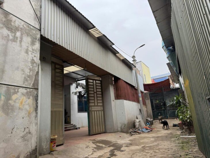 ???? “Bán Gấp Lô Đất Tặng Nhà Liên Hà 182m², Vị Trí Đắc Địa, Giá Cực Tốt Chỉ 11Tỷ” ????