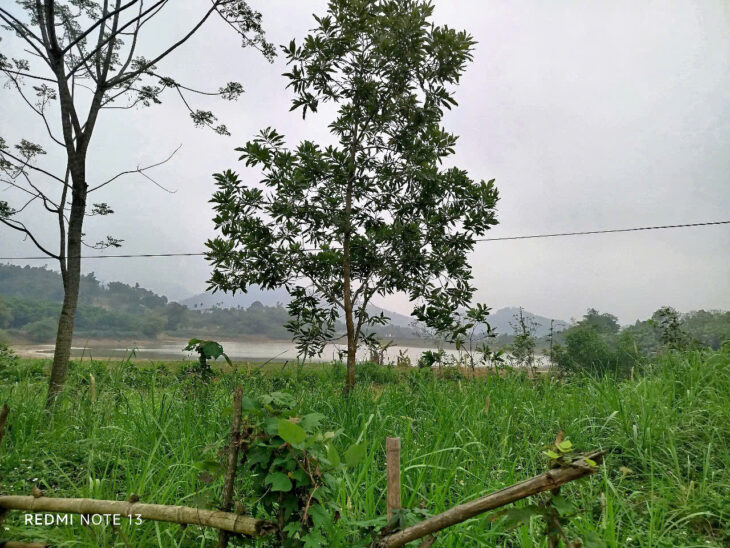 Đất phân lô giá rẻ tại Thanh Hóa cần bán gấp, giá đầu tư F0 vị trí thuận lợi gần trung tâm xã.