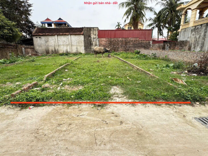 Đất đẹp Thanh Lâm, Mê Linh, HN. Full thổ cư, oto đỗ cửa. Gần chợ hoa quả Mê Linh.