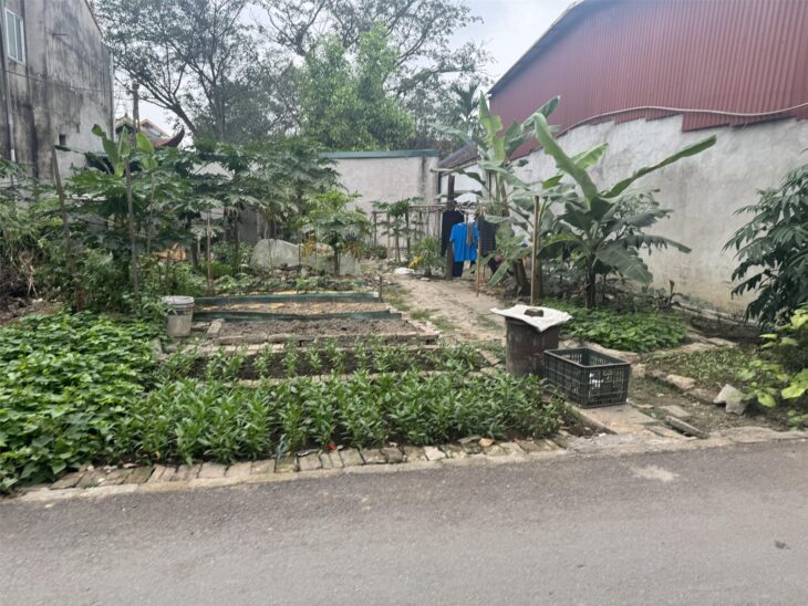 ???? Còn Đúng Duy Nhất Mảnh Đất Vĩnh Thọ – Từ Sơn 104m², Giá Chỉ 2.4 Tỷ