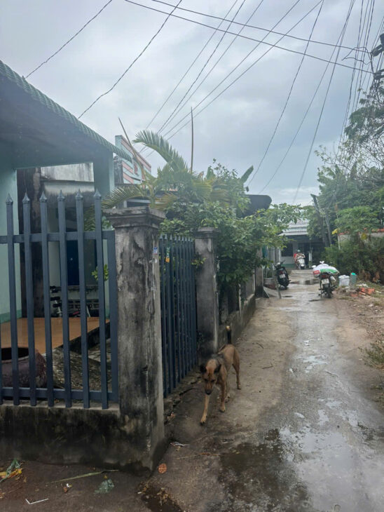 Bán đất ODT Tân Thiện – TX LaGi giá ngộp 750 triệu, sổ riêng