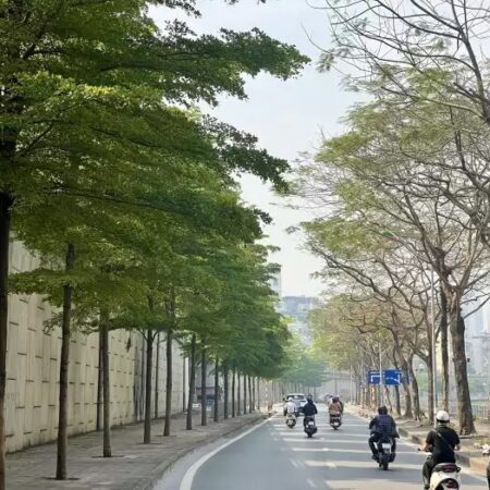 Bán đất mặt đường Bưởi, Ba Đình, 2 mặt đường, diện tích 60m2 full thổ cư, giá chỉ 1x tỷ, x mầm