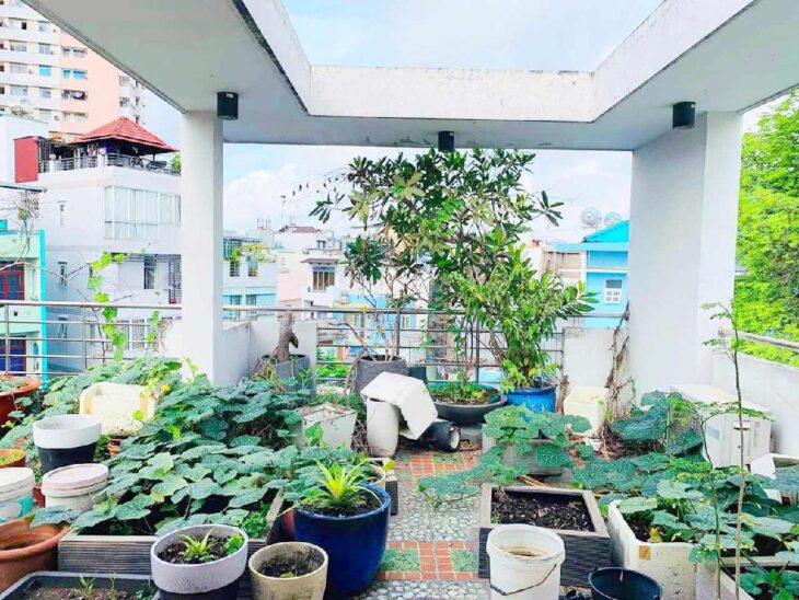 ???? GIẢM SỐC 1 TỶ – CƠ HỘI SỞ HỮU TÒA NHÀ CHDV CAO CẤP LÊ VĂN SỸ, Q.3 – GIÁ MỚI CHỈ 17 TỶ