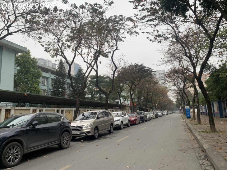 CƠ HỘI VÀNG–TÒA NHÀ 9 TẦNG THANG MÁY MẶT PHỐ HỒ TÙNG MẬU–VỈA HÈ RỘNG–DÒNG SẢN PHẨM CỰC HIẾM–CHỈ 46