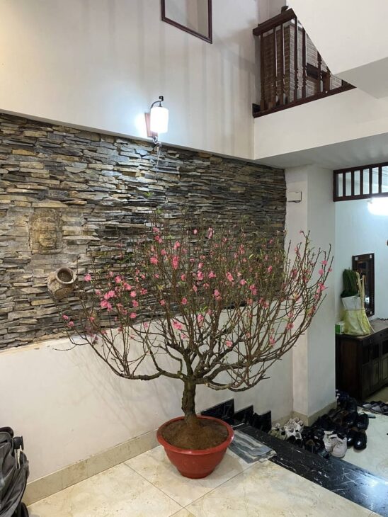 Nhà 62m2 Mạc Thị Bưởi 15 tỷ, oto đỗ cửa, kinh doanh, nhà 4 tầng mới