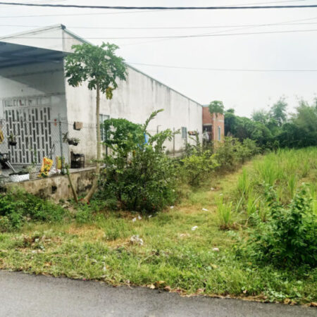 Đất đường Huỳnh Thị Kiểu – 183m2 – 5×36 – xã Trung Lập Thượng – Củ Chi