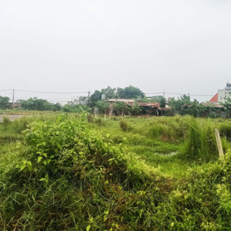 Bán đất 2/ đường Tỉnh Lộ 2 – 535m2 – 10×54 – 100m2 thổ cư – xã Trung Lập Thượng – Củ Chi