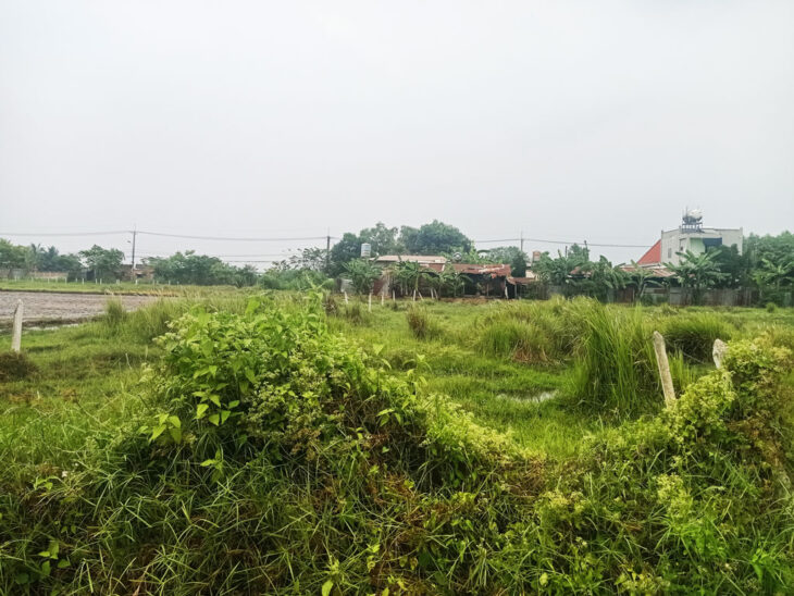 Bán đất 2/ đường Tỉnh Lộ 2 – 535m2 – 10×54 – 100m2 thổ cư – xã Trung Lập Thượng – Củ Chi