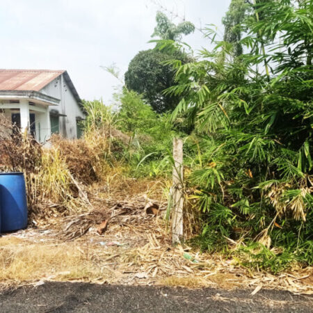 Bán đất đường Trần Thị Hồ – 355m2 – 8×44 – 150m2 thổ cư – xã Hòa Phú – Củ Chi Bán đất đường Trần Thị Hồ – 355m2 – 8×44 – 150m2 thổ cư – xã Hòa Phú – Củ Chi