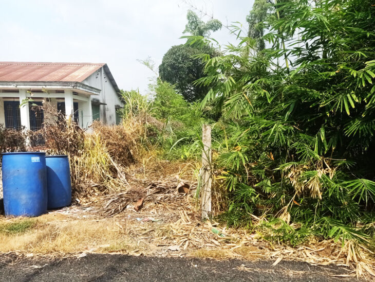 Bán đất đường Trần Thị Hồ – 355m2 – 8×44 – 150m2 thổ cư – xã Hòa Phú – Củ Chi