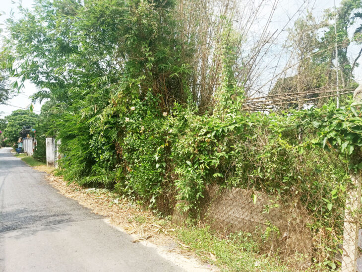 Bán đất đường Trần Thị Hồ – 355m2 – 8×44 – 150m2 thổ cư – xã Hòa Phú – Củ Chi