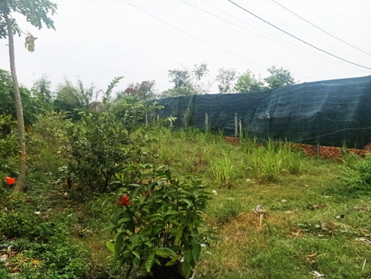 Đất đường Huỳnh Thị Kiểu – 183m2 – 5×36 – xã Trung Lập Thượng – Củ Chi