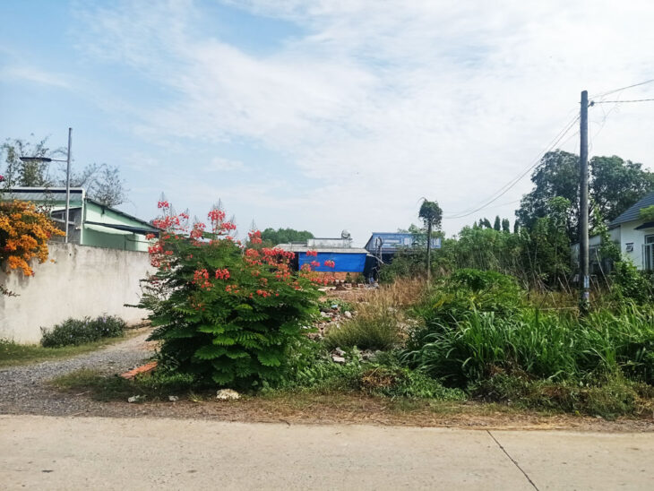 Bán đất 2/ Nguyễn Thị Nê – 455m2 – 11.6×40 – 178m2 thổ cư – xã Phú Hòa Đông – Củ Chi