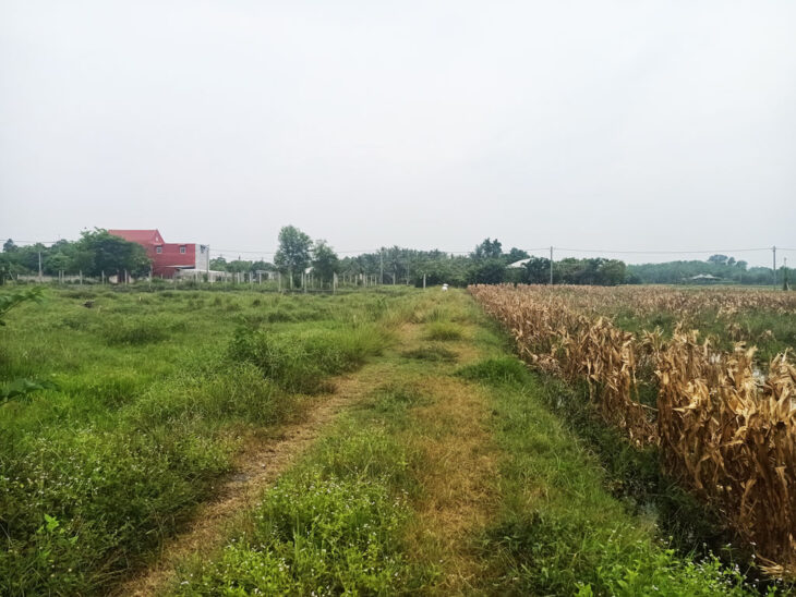 Bán đất 2/ đường Tỉnh Lộ 2 – 535m2 – 10×54 – 100m2 thổ cư – xã Trung Lập Thượng – Củ Chi