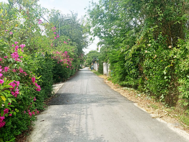 Bán đất đường Trần Thị Hồ – 355m2 – 8×44 – 150m2 thổ cư – xã Hòa Phú – Củ Chi