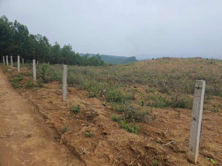 ĐẤT RỪNG ĐẸP – GIÁ TỐT – Vị Trí Đắc Địa Tại Xóm Hồng, Xã Bảo Hiệu, Huyện Yên Thủy, Tỉnh Hoà Bình