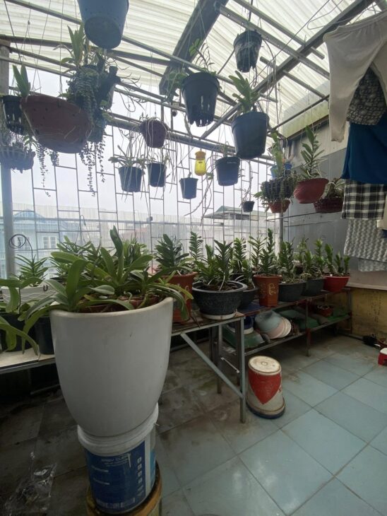 Cực Hiếm Đầu Tư Sinh Lời Phố Trần Khát Trân – Bán Đất Tặng 2 Nhà Xây 4 Tầng,
