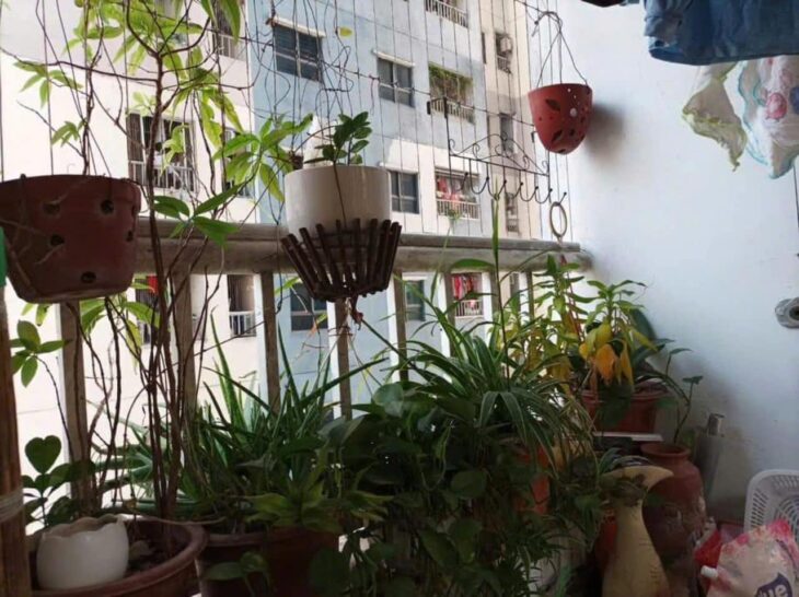 CẦN BÁN CĂN HỘ CHUNG CƯ NGUYỄN XIỂN – 56M², 2PN, 2VS – NHÀ ĐẸP, GIÁ TỐT!