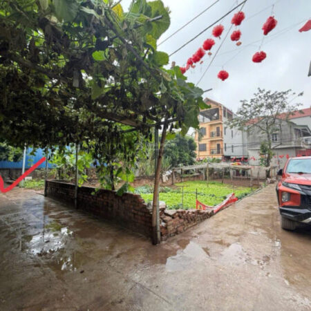 Siêu nóng: Đất Vân Côn – Hoài Đức, ô tô đỗ cửa