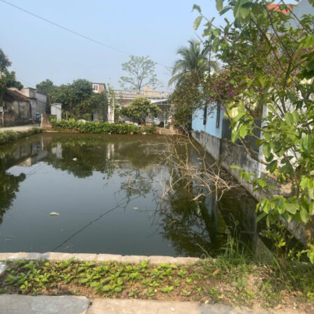 CHÍNH CHỦ GỬI BÁN ĐẤT TẠI THÔN NAM ĐẠI – XÃ QUỲNH BẢO – QUỲNH PHỤ – THÁI BÌNH CHÍNH CHỦ GỬI BÁN ĐẤT TẠI THÔN NAM ĐẠI – XÃ QUỲNH BẢO – QUỲNH PHỤ – THÁI BÌNH