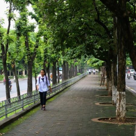 Trung tâm Ba Đình, mặt phố, lô góc, 5 tầng, 21m2, MT4,5m, chỉ 9 tỷ Trung tâm Ba Đình, mặt phố, lô góc, 5 tầng, 21m2, MT4,5m, chỉ 9 tỷ