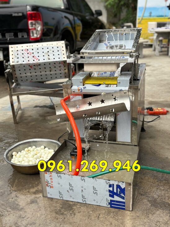 Máy bóc vỏ trứng chim cút 1 rãnh năng suất 50kg/h Vinmax TC-50