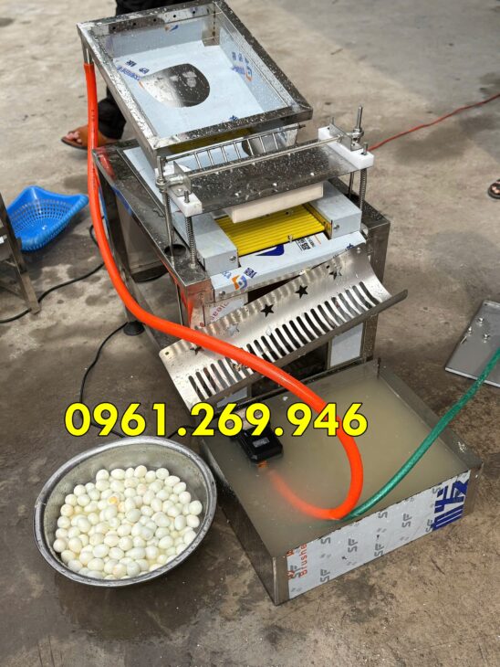 Máy bóc vỏ trứng chim cút 1 rãnh năng suất 50kg/h Vinmax TC-50
