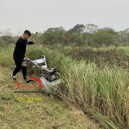 Máy cắt cỏ trục băm Kawasaki VMTB70R đường cắt 42cm hợp số 2 tiến 1 lùi Máy cắt cỏ trục băm Kawasaki VMTB70R đường cắt 42cm hợp số 2 tiến 1 lùi
