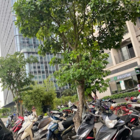 BÁN SHOP CHÂN ĐẾ CHUNG CƯ VINHOMES OCEAN PARK – GIA LÂM, HÀ NỘI – 80M² VỊ TRÍ ĐẸP