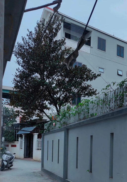 Bán nhà 40m2,5 tầng,thị trấn Trạm Trôi,đường thông, moning đỗ cửa