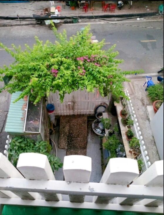 ???? BÁN NHÀ đường TÙNG THIỆN VƯƠNG P11 Q8 – Chủ thiện chí bán Gấp???? giá đã Giảm 6,5 tỷ????????