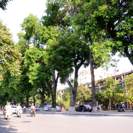 Kim Mã, Ba Đình, ngõ thông, kinh doanh, 53m2, chỉ 9 tỷ