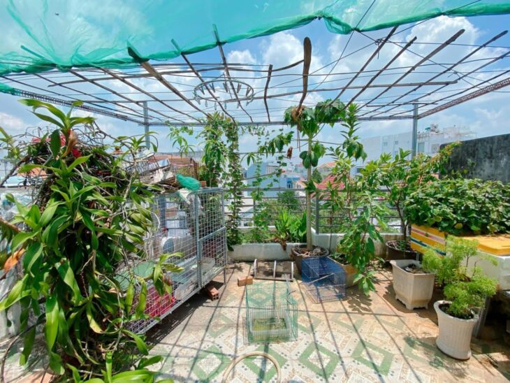 Bán nhà Gò Vấp, xe hơi đỗ cổng, sat mặt tiền Nguyễn Thái Sơn, 42M² x 4 tầng, 5 PN, hơn 5 tỷ