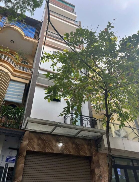 SIÊU PHẨM PHÂN LÔ NGUYÊN HỒNG, ĐỐNG ĐA 41M – 6 TẦNG – MT 4M – KINH DOANH VĂN PHÒNG – Ô TÔ ĐỖ TRONG