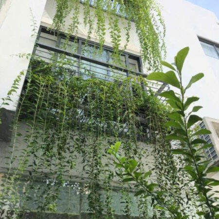 NHÀ Q10 THÀNH THÁI – HẺM 5M – DÂN TRÍ CAO – 5P TỚI UBND Q10 – 8 TỶ XX