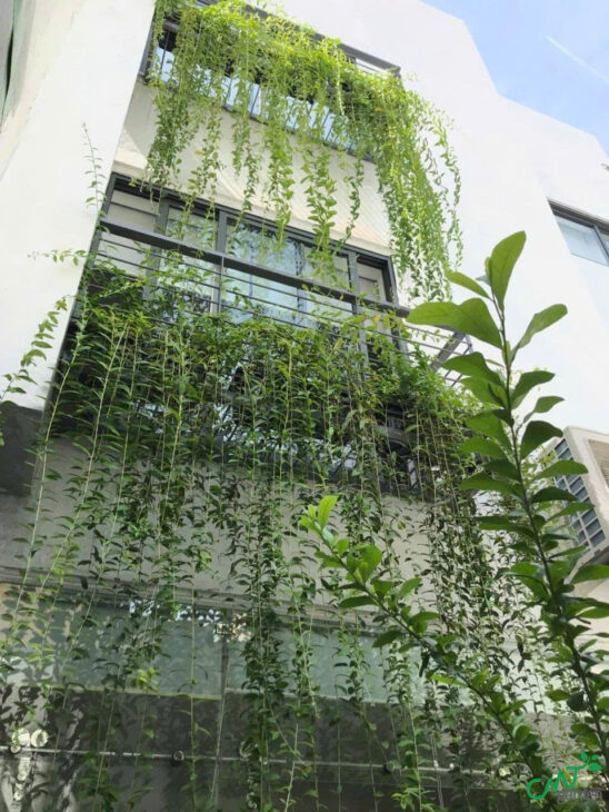 NHÀ Q10 THÀNH THÁI – HẺM 5M – DÂN TRÍ CAO – 5P TỚI UBND Q10 – 8 TỶ XX