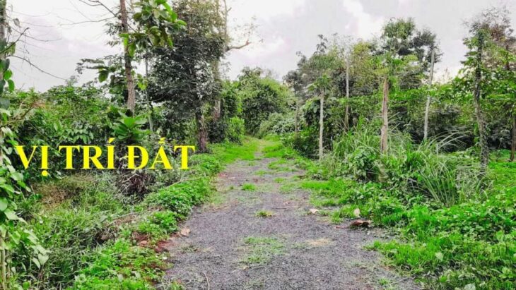 Bán Lô Đất Thị Xã Sổ Hồng Riêng tại phường THỐNG NHẤT – thị xã BUÔN HỒ – Daklak