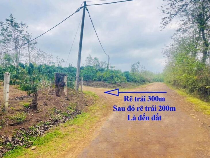 Bán Lô Đất Thị Xã Sổ Hồng Riêng tại phường THỐNG NHẤT – thị xã BUÔN HỒ – Daklak