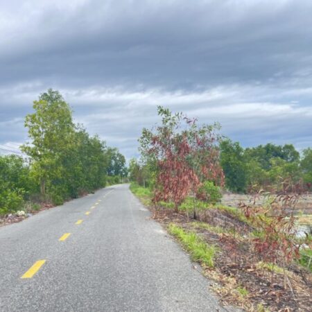 270 triệu/m ngang đất thổ cư Đường Lê Quang Định, thị xã LaGi gần Biển