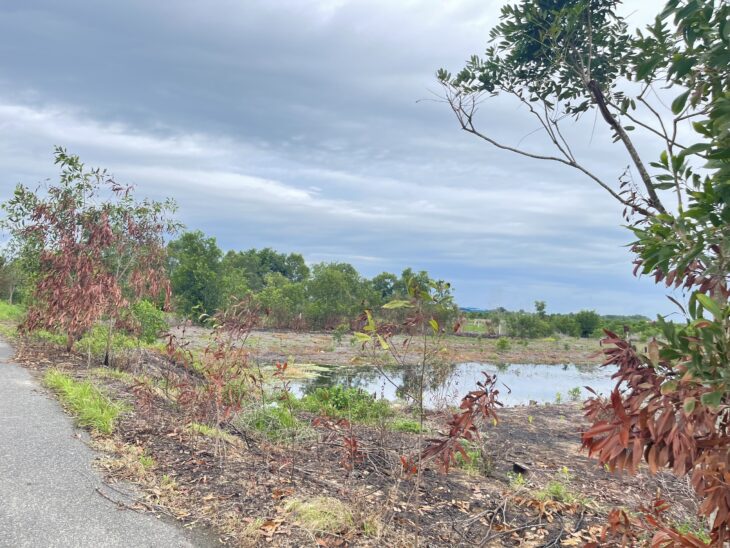 270 triệu/m ngang đất thổ cư Đường Lê Quang Định, thị xã LaGi gần Biển